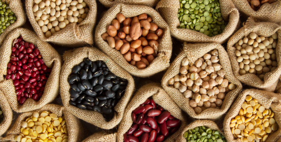 Importation & production de légumes secs